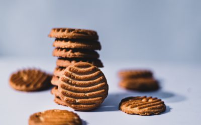 The evolution of biscuits